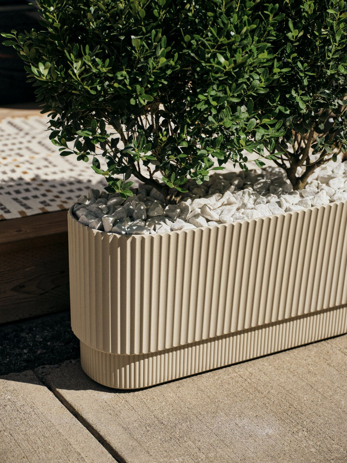 Контейнерное озеленение террас